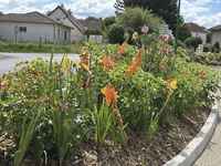 527305511_1467903751301179_1051120547354211287_n